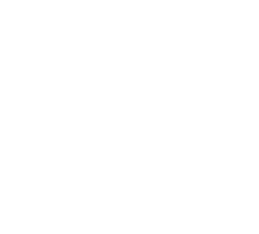 roof x2 roofing Services